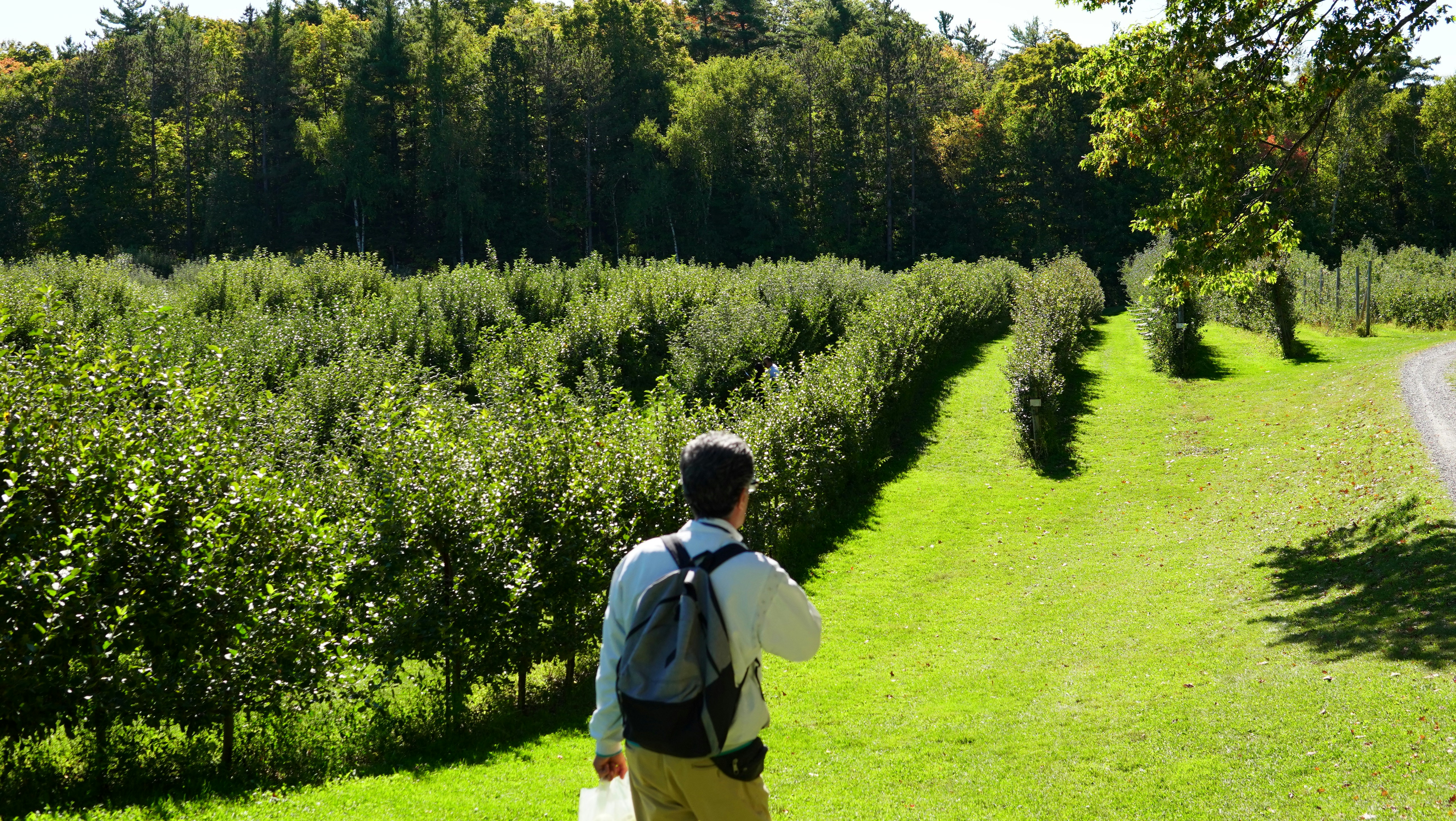 Paisagem natural representando soluções climáticas