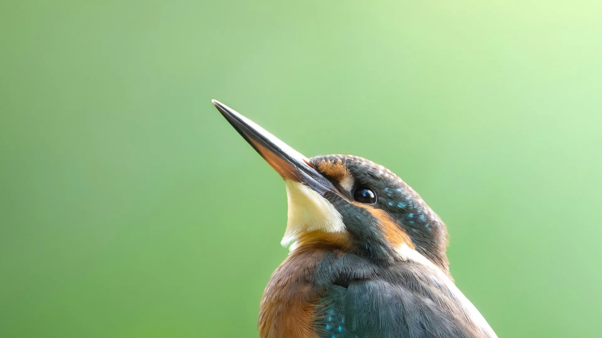 Soluções personalizadas para empresas